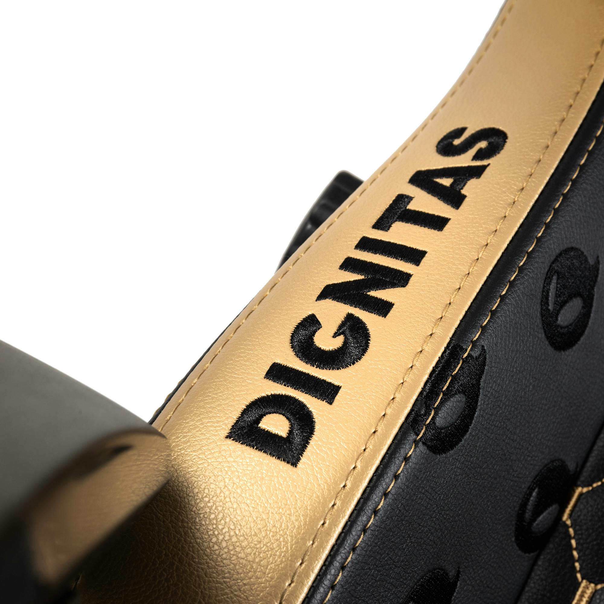 noblechairs - HERO Dignitas Edition
