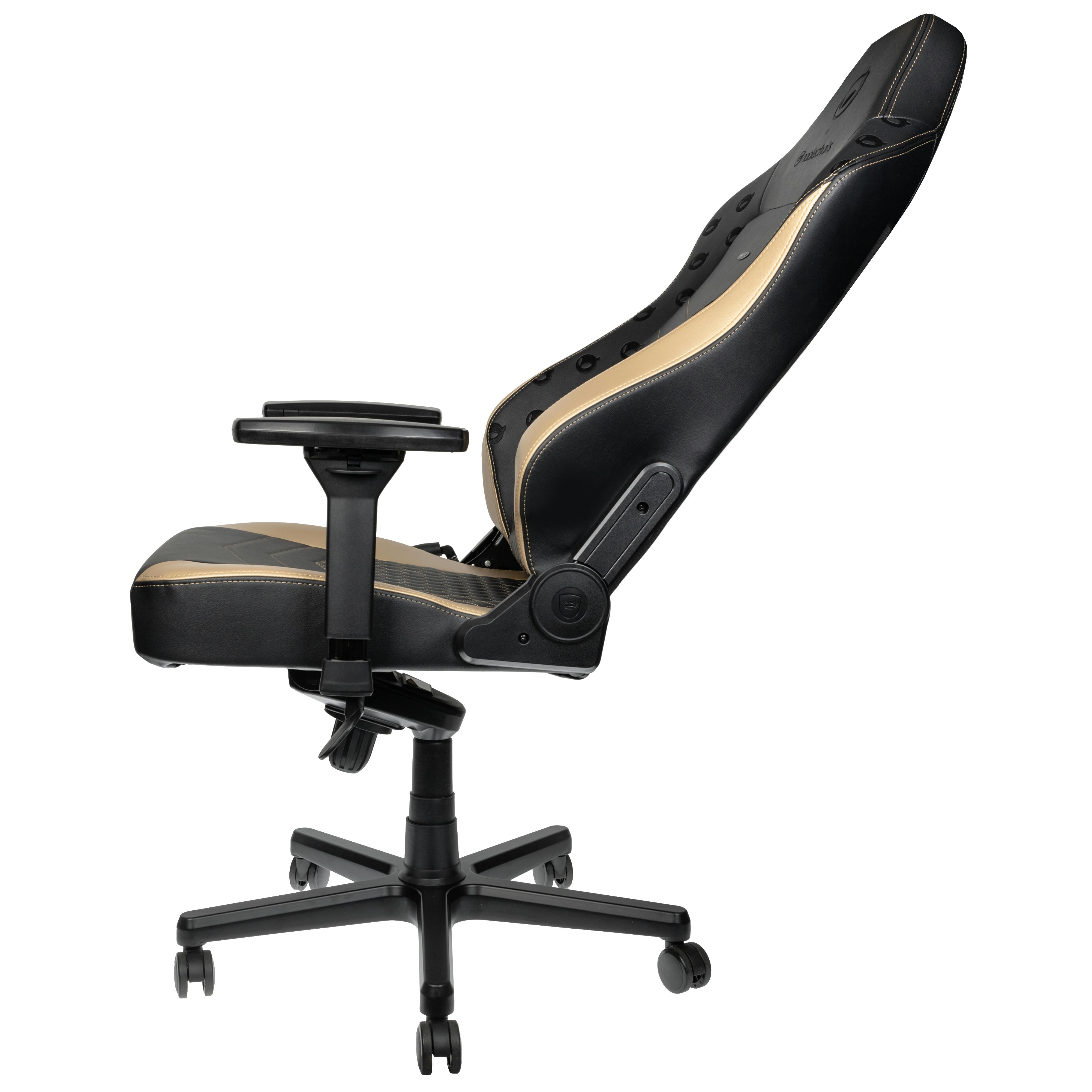 gaming chair Dignitas integrierte Lombosenstütze